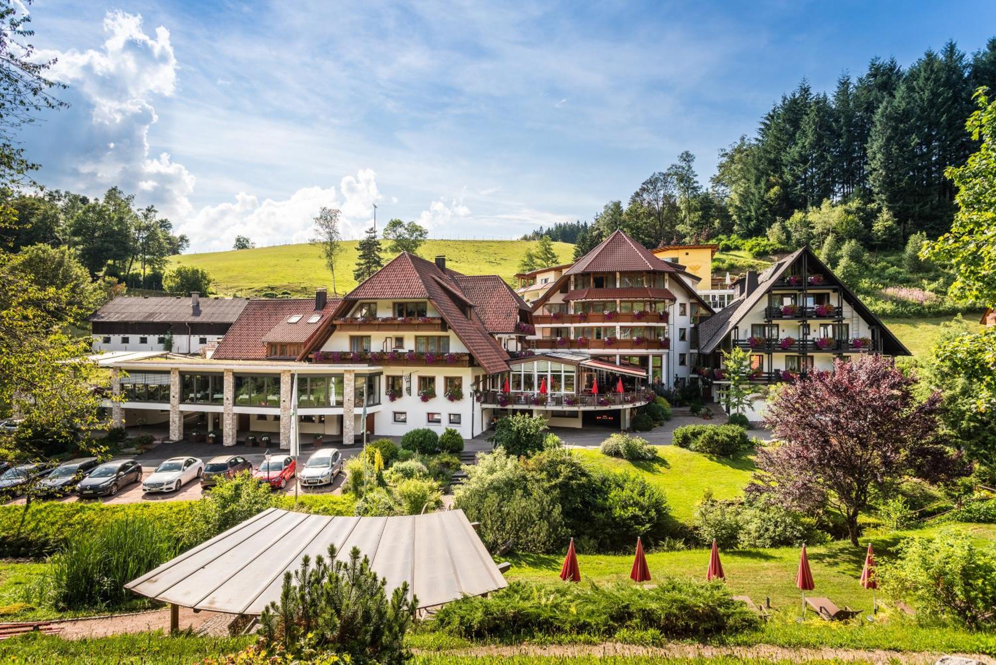 Naturparkhotel Adler Wolfach Kültér fotó