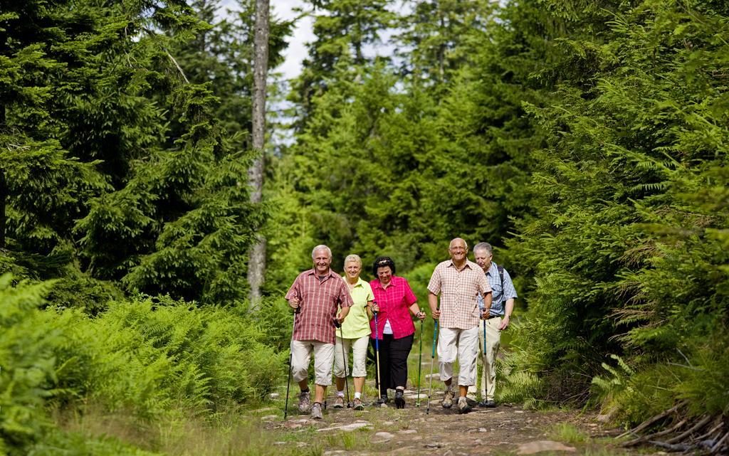 Naturparkhotel Adler Wolfach Kültér fotó