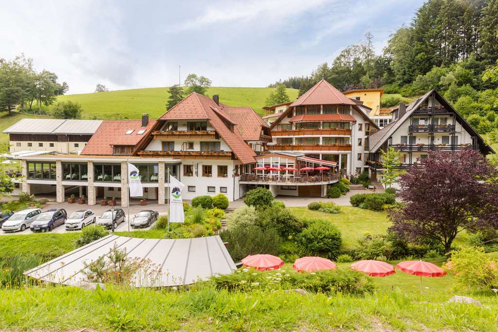 Naturparkhotel Adler Wolfach Kültér fotó